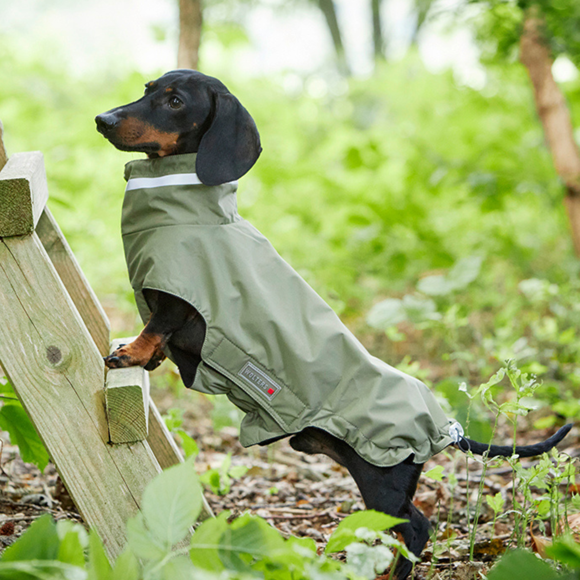 Wolters dog coats cheap